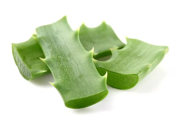 Aloe vera-växter — Stockfoto