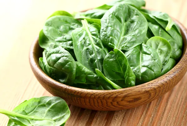 Young spinach — Stock Photo, Image