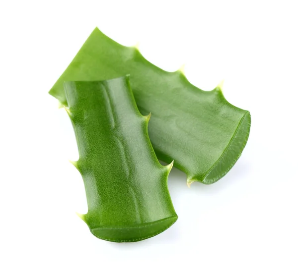 Aloe vera plants — Stock Photo, Image