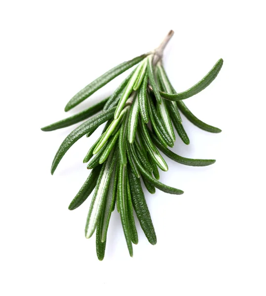 Rosemary spice in closeup — Stock Photo, Image