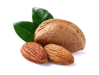 yaprakları ile badem