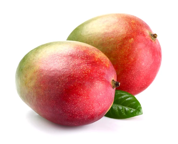 Два спелых манго с листом — стоковое фото
