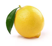 šťavnaté citron s listy