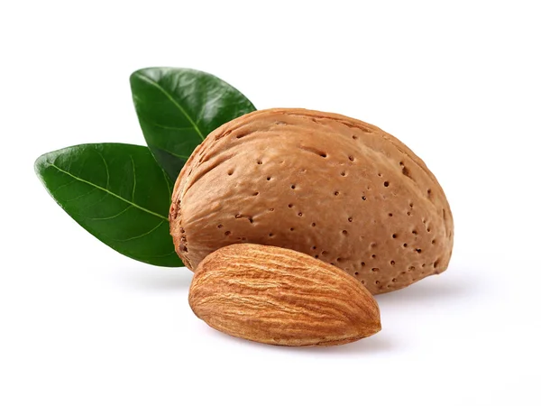 Dried almonds with leaves — Stock Photo, Image