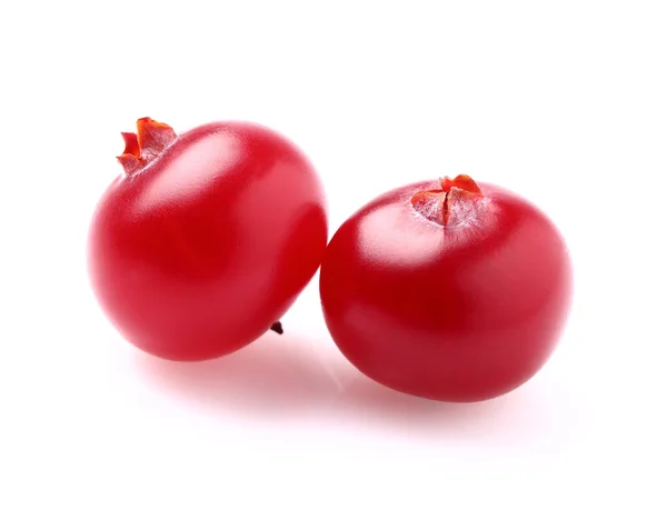 Two fresh cranberries — Stock Photo, Image