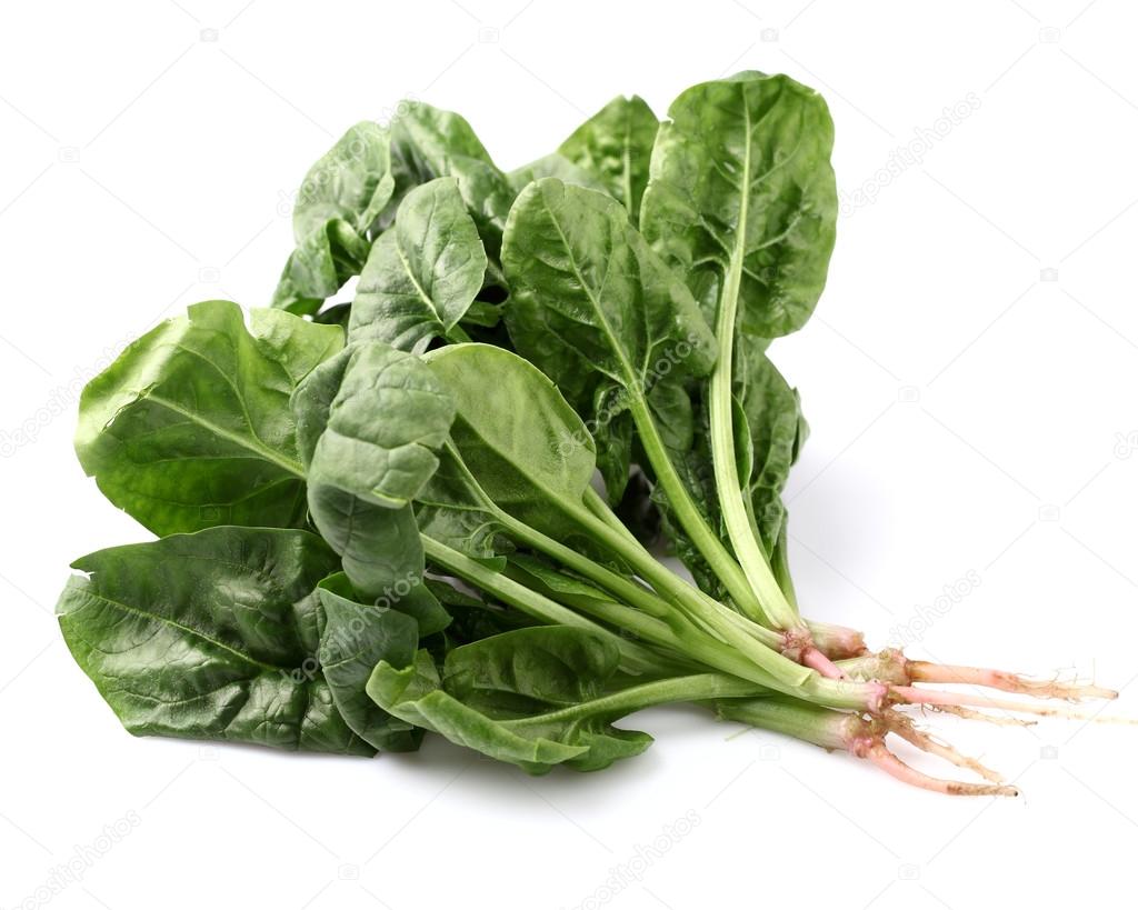 Spinach on a white background