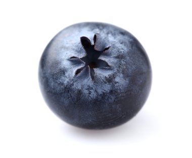 yaban mersini kapatmak içinde