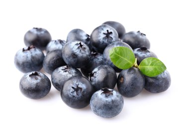 tatlı yaban mersini yaprağı