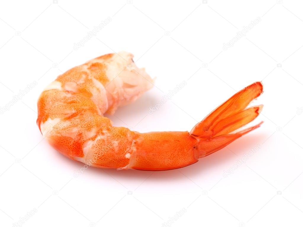 Shrimp in closeup