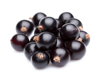 Blackcurrant closeup içinde