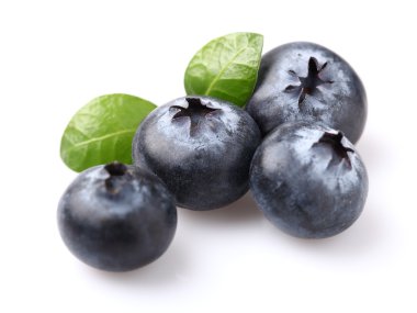 yaban mersini kapatmak içinde