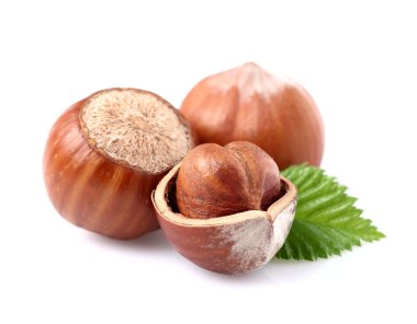 fındık yaprağı