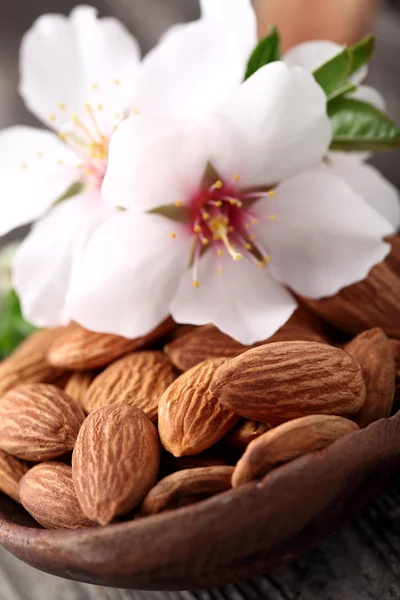 Amêndoas kernel em uma colher de madeira — Fotografia de Stock