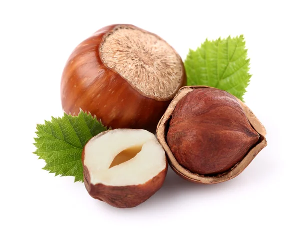 Hazelnuts — Stock fotografie