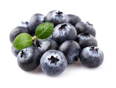 yaban mersini yaprağı