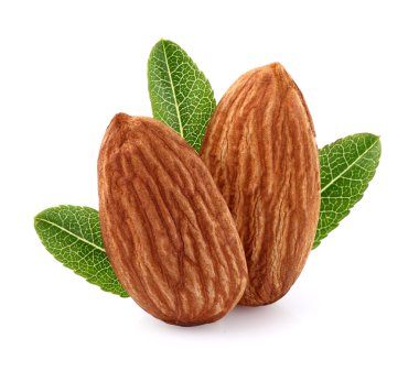 badem çekirdeği yaprakları ile