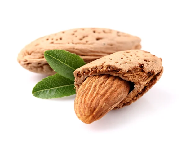 Almonds with leaf — Stock Photo, Image