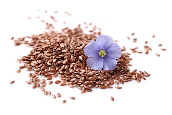 Flax seeds with flowers — Stock Photo, Image