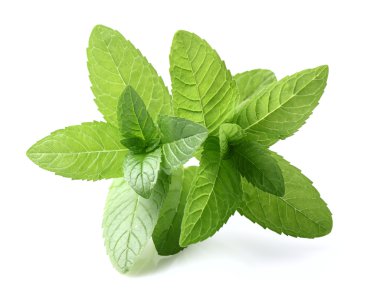 Beyaz arkaplanda darphane