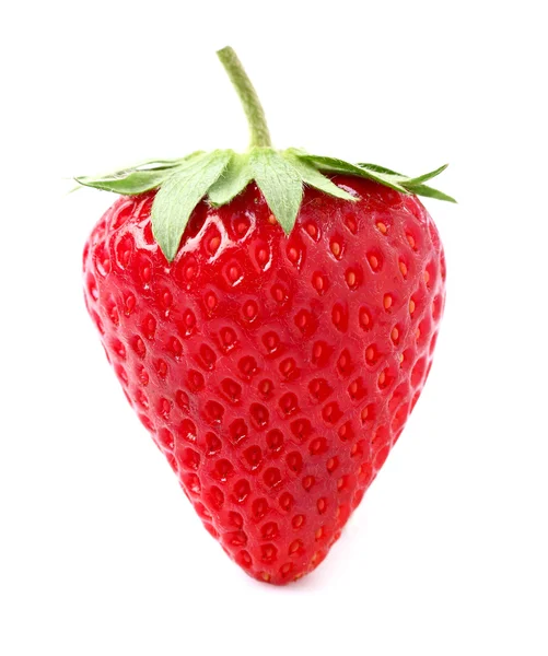 One beauty strawberry — Stock Photo, Image