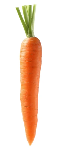 Carota fresca — Foto Stock