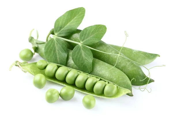 Groene erwten met bladeren — Stockfoto