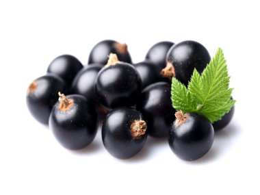 taze üzümü yaprağı