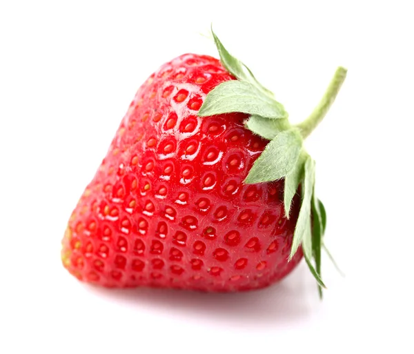 One beauty strawberry — Stock Photo, Image