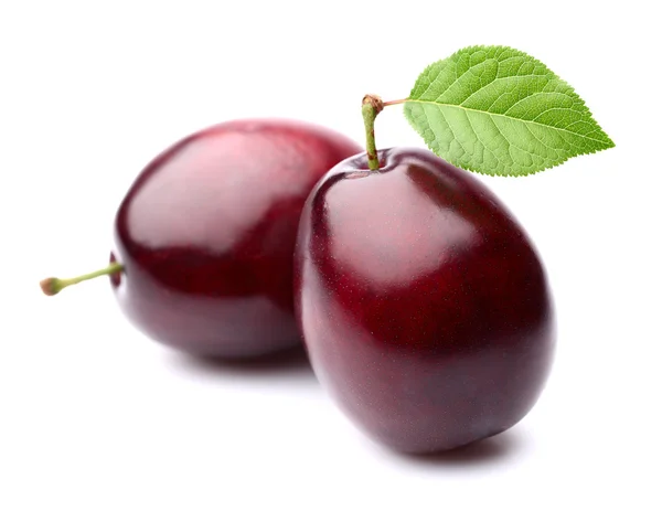 Plums in closeup — Stock Photo, Image