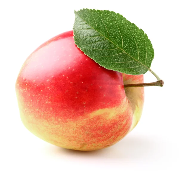 Een rijpe appel met blad — Stockfoto