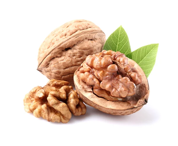 Nueces secas con hojas — Foto de Stock