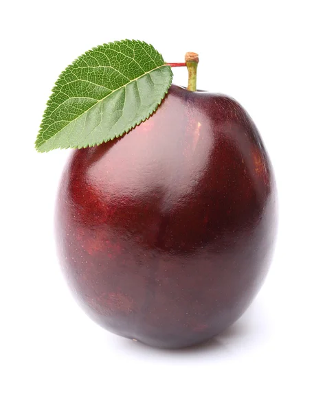 Ripe plum with leaf — Stock Photo, Image