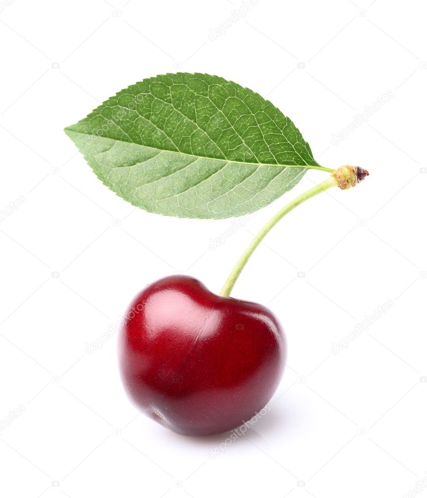 Cerise Pictures Cerise Stock Photos Images Depositphotos