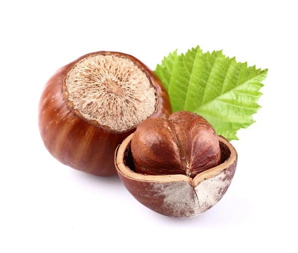 Hazelnuts with leaf — Stock Photo, Image