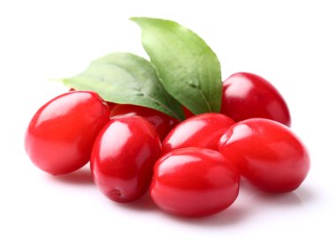 Olgun cornels yaprakları ile