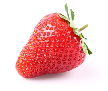 portre, olgun çilek