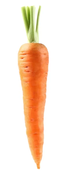 One carrot in closeup — Stock Photo, Image