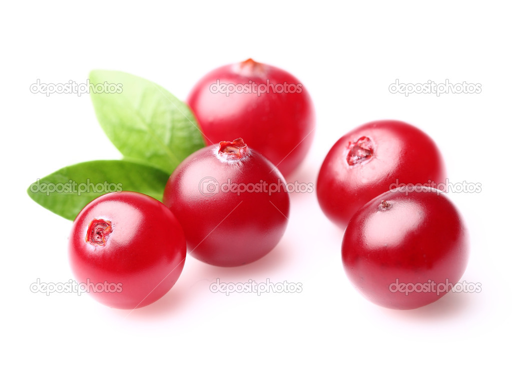 Ripe cranberry with leaves