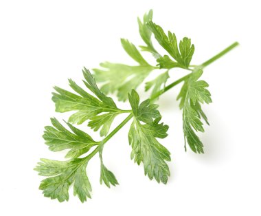 maydanoz yaprakları