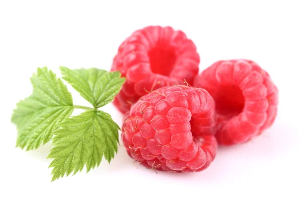 Raspberry with leaves — Stock Photo, Image