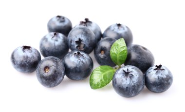 yaban mersini yaprağı