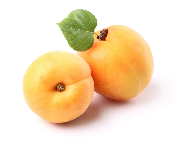 Apricot with leaf — Stock Photo, Image