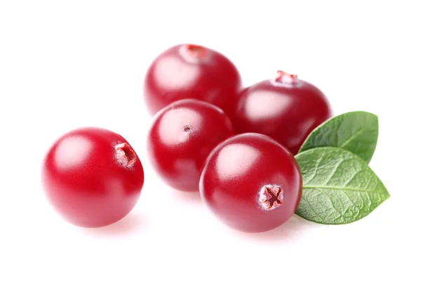 Juicy cranberry dengan daun — Stok Foto