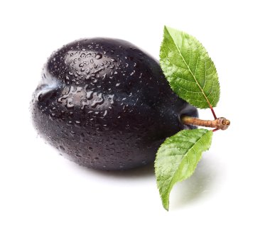 bir olgun Erik ile yaprakları