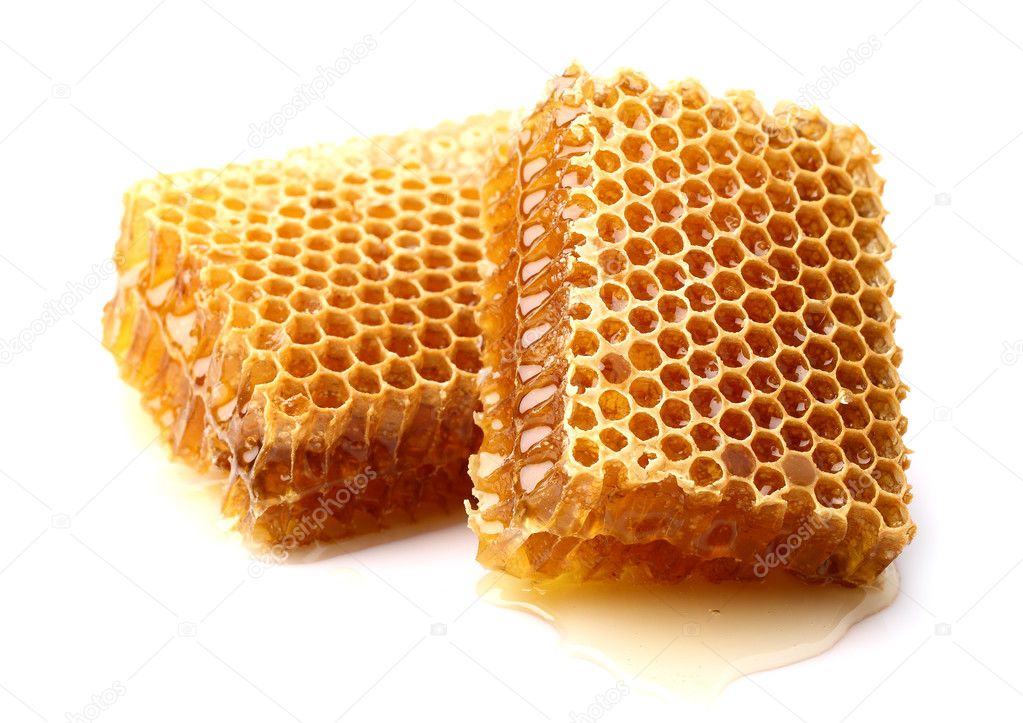 Honeycomb in closeup