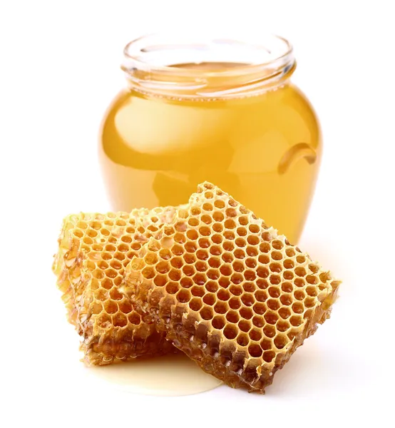 相思树蜂蜜 — 图库照片