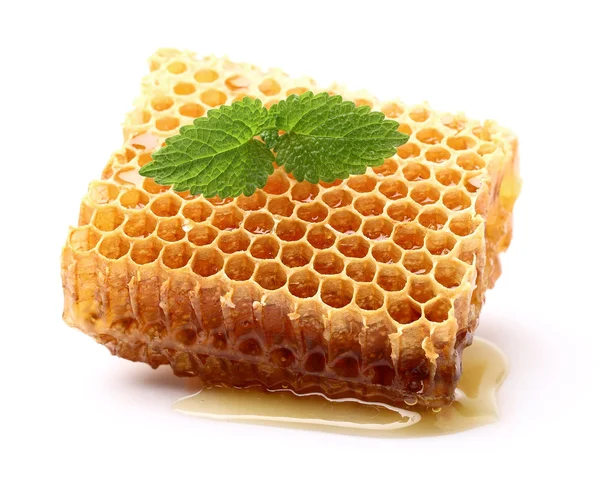 Honeycomb with melissa — Stock Photo, Image