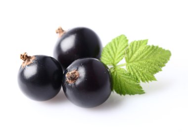 Olgun blackcurrant yaprak ile
