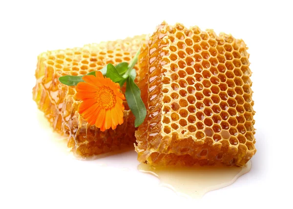 Honungskaka med ringblomma — Stockfoto