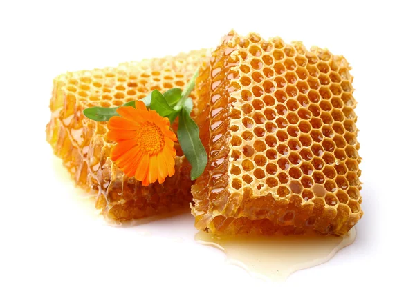 Honeycomb with marigold — Stock Photo, Image